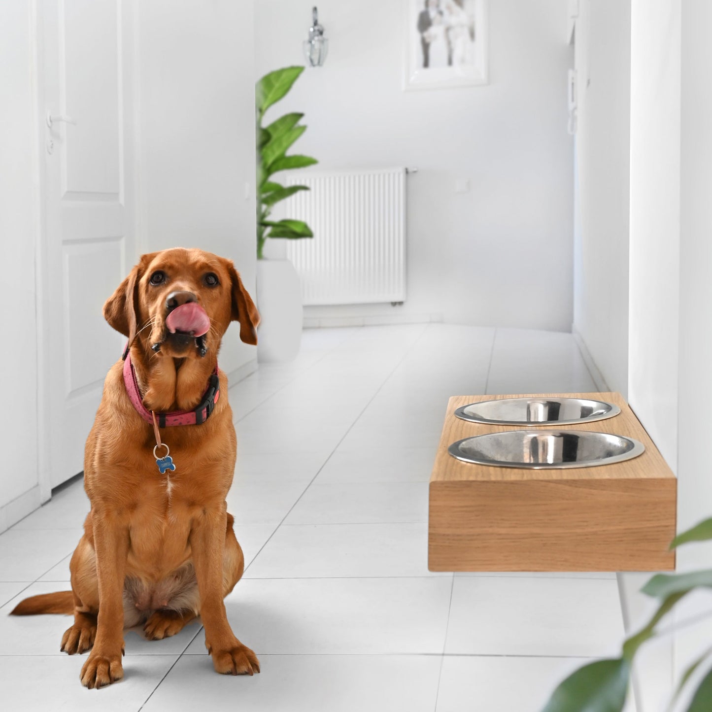 Hanging wooden dog feeder, Mounted pet feeding station, Shepherd food stand