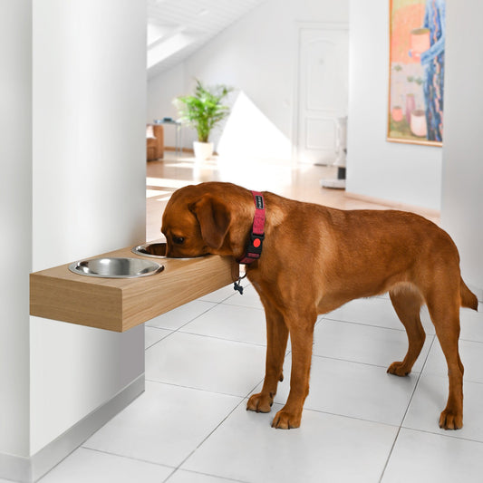 Hanging wooden dog feeder, Mounted pet feeding station, Shepherd food stand